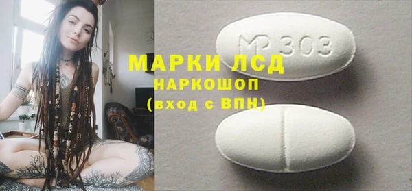 индика Абаза
