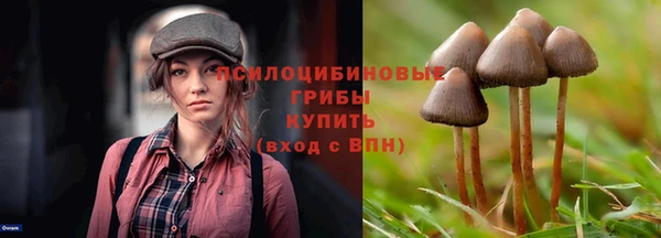 индика Абаза