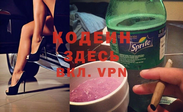 индика Абаза