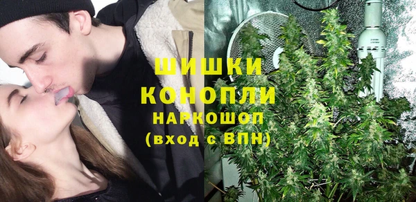 индика Абаза